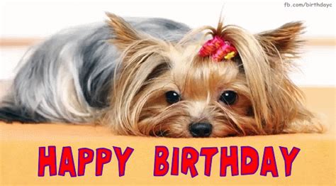 happy birthday gif dog|cute dog birthday images.